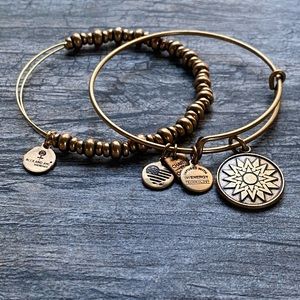 Alex and Ani set of 2 charm bracelets